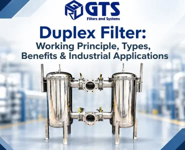 Duplex Filter Working Principle, Types, Benefits & Industrial Applications Duplex-Filter